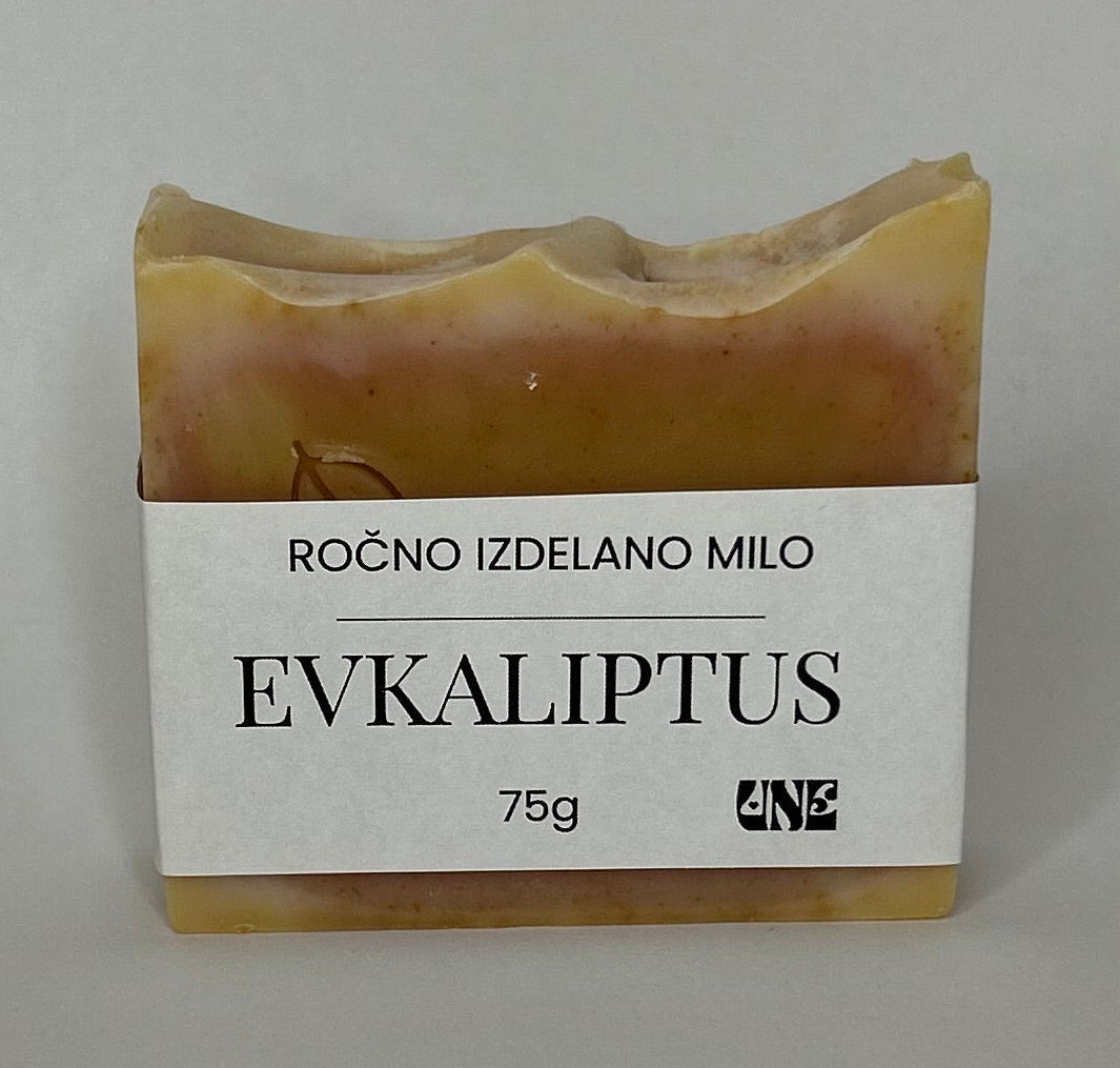 EVKALIPTUS Z ALOE VERO